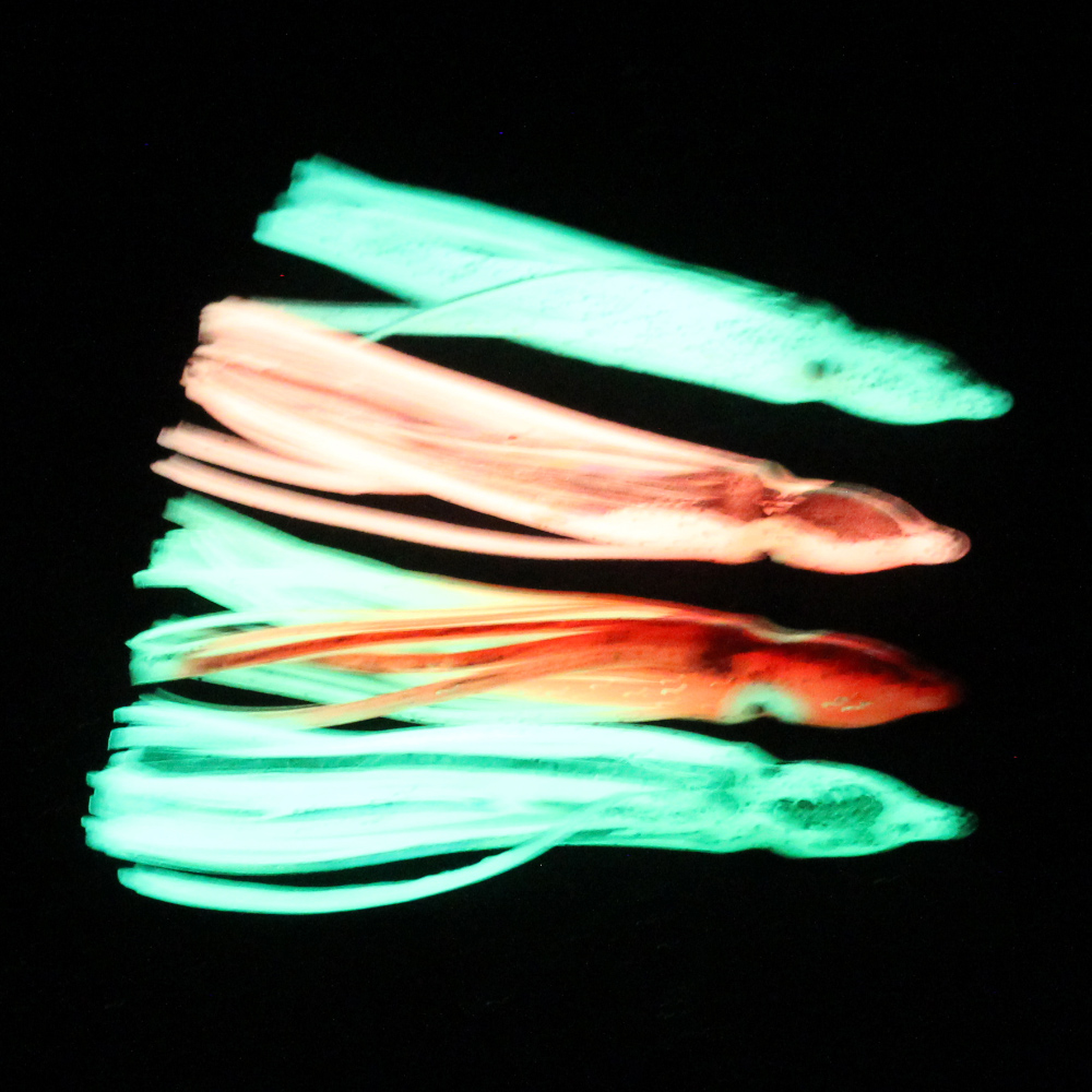 10個入り ソフトライト オクトパス イカ スカート ルアー - Fishing Lure Buzzbait のレビューと価格