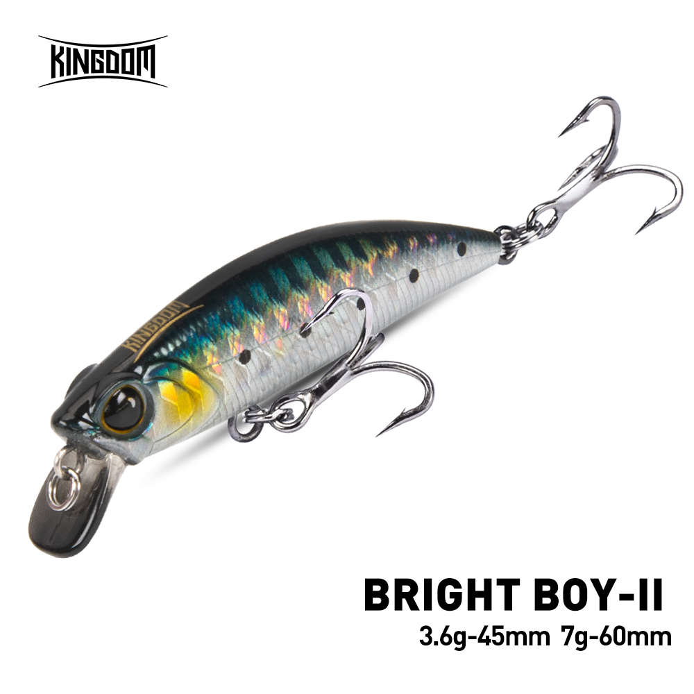 キングダムシンキングミノー釣りルアー 45mm 60mm 遠 - Fishing Lure Crankbait のレビューと価格